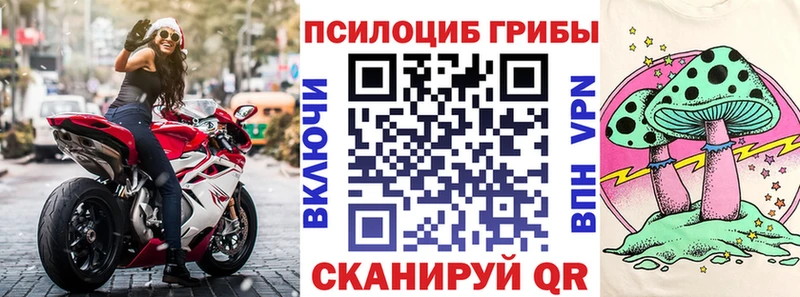 Псилоцибиновые грибы Cubensis  Арамиль 